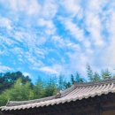 장미펜션 | 심청골한옥펜션 숙박 후기ㆍ곡성펜션추천ㆍ곡성장미축제인근펜션으로 강력 추천