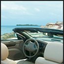 삼육오 (365) 이미지