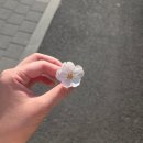 GS25주안사거리점 | [주안/신기촌사거리] 분위기 좋고 빵도 맛있었던 카페 솔직후기