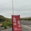 [제주]제주 돌문어볶음 맛집 '소금바치순이네' 주말 저녁 내돈내먹 후기