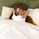 (주)비티엔 | GLED마스크 갈바닉마사지기 일주일 후기 w.바디프랜드