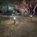 개미공원 근처 이미지