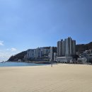 암남공원 이미지