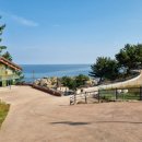 까사콩새 이미지