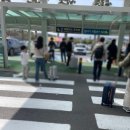 뚱보카센타 이미지