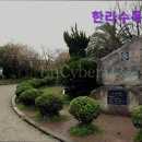 272-1012 | [제주도 여행지 추천] 한라수목원 자연과 함께하는 힐링 공간