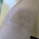 휘림빌딩 | 혈장 성분헌혈 내년부터 다시해야겠습니다. 11월에는 전혈하고 가실게용