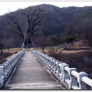 산행 후 유람 이미지