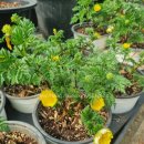 도천농장 이미지