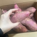 맛샘농장 이미지