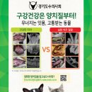 고강동물병원 네이버블로그