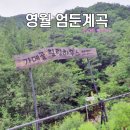 가메골힐링하우스 이미지