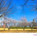 연지공원(조각공원) 이미지