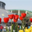 수 피부이야기