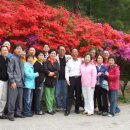 복내초등학교 이미지