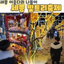 보람동_금강보행교 남측(좌) | 세종 야경맛집 세종시청부터 이응다리까지