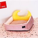 브라운퍼피 이미지