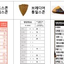 브레디어