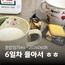 영교5 | [혼밥일기 #4] 260603~260608 | 6일치 기록