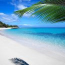 남태평양 이미지