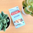 속편한동물약국 이미지