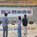 횡성군청