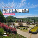 장미1길 | [임실치즈테마파크] 26년 6월 6일 방문한 장미정원 개화 현황 &amp; 치즈 판매장 쇼핑 후기