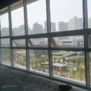 세종 홍복싱 MMA멀티짐 이미지