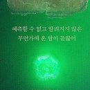 글로벌 K-뮤지컬 마리 퀴리 이미지