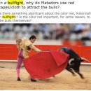 bullfighter 이미지