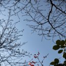 금호동 장미아파트 이미지