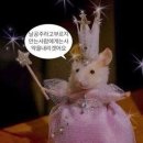 테무와 함께한 푸꾸옥 여행 (1) 비엣젯 연착, 모닝투어, 오션베이 리조트