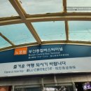 양산] 부산 노포동에서 양산 평산책방까지 뚜벅이 후기(ft.시외버스 시간표)