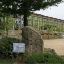 수안보중학교 이미지