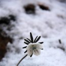 운산 아래 구름 이미지