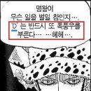 돈키호테 도플라밍고 카카오 검색결과