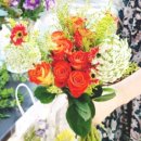 오다주따 이미지