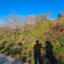 석장포구 이미지