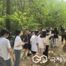 봉정초등학교 이미지