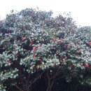 봄빛 민박 이미지