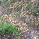 능성농장 이미지