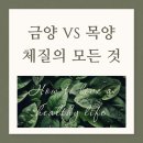이레한의원 | 목양 체질의 모든 것] 정반대 부부의 내돈내산, 8체질 검사 솔직후기 (식습관·아토피·비염·한의원비용)