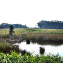 제주돌문화공원 이미지