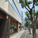 빈브라더스 | [합정 대형카페 빈브라더스 내돈내산 후기- 분위기 좋은 합정 카페에서의 여유로운 오후]