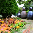 수목막걸리 이미지