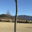 황산애견 이미지