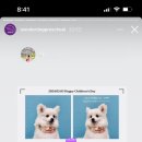 개린이 유치원 이미지