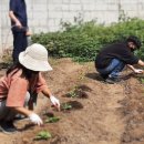 삼가중학교 이미지