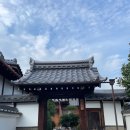 하늘을 품은 사슴 | 아이와 함께 간 교토여행 - 도게츠교, 아라시야마, 노노미야신사, 텐류지(천류지)