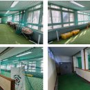 감천초등학교 이미지